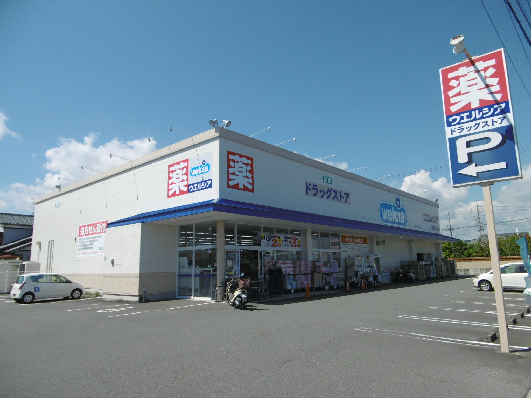 ドラッグストア：ウェルシア静岡みずほ店　521m