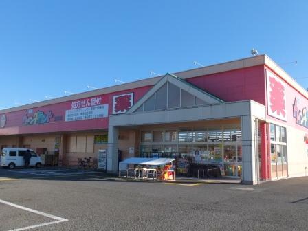 ドラッグストア：ウィンダーランド道悦店　800m