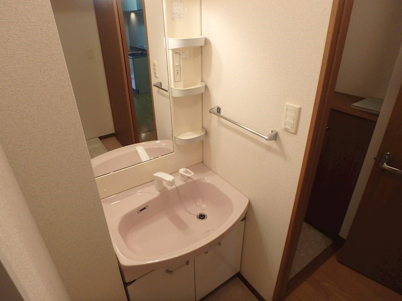 その他：シャワードレッサー付き洗面台