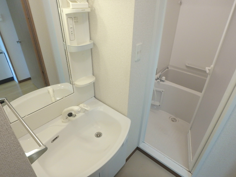 その他：シャワードレッサー付き洗面台