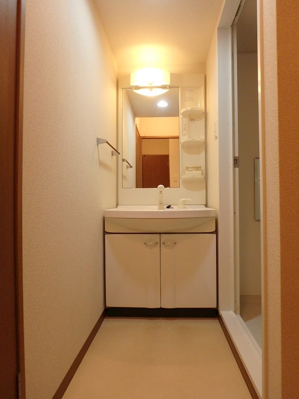 その他：シャワードレッサー