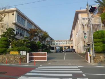 小学校：浜松市立白脇小学校　825m