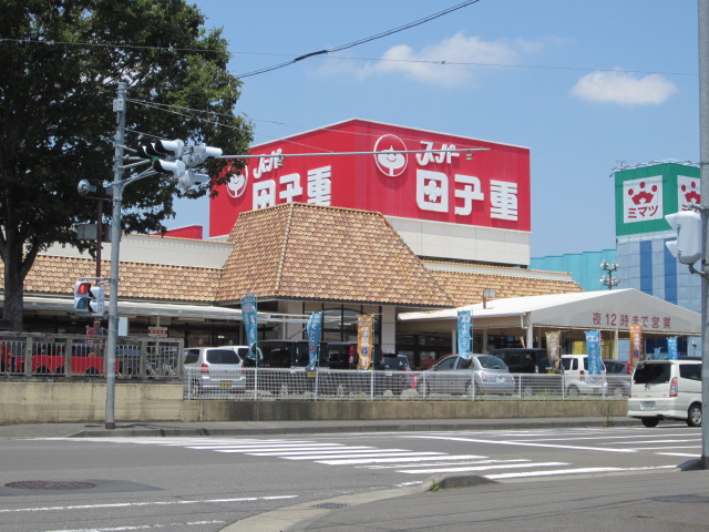 スーパー：田子重下川原店　550m