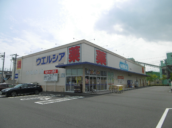 ドラッグストア：ウェルシア清水天王店　959m