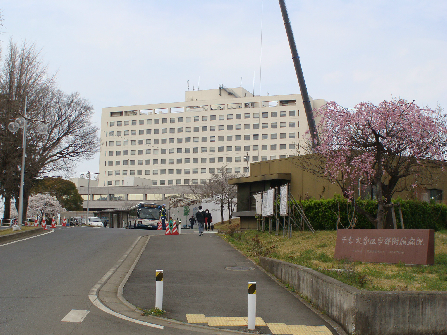 大学・短大：千葉大学亥鼻ｷｬﾝﾊﾟｽ　1419m