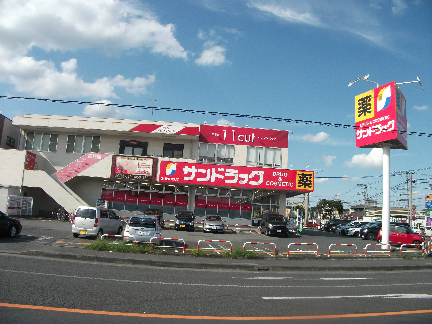 ドラッグストア：ｻﾝﾄﾞﾗｯｸﾞ 城山店　810m