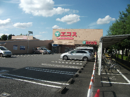 スーパー：ｴｺｽ 城山店　382m