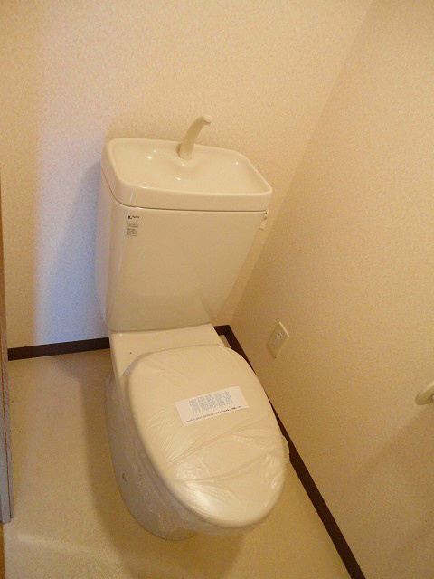プルメリア その他