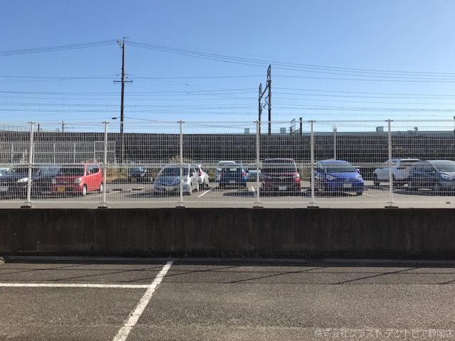 コスモス 眺望