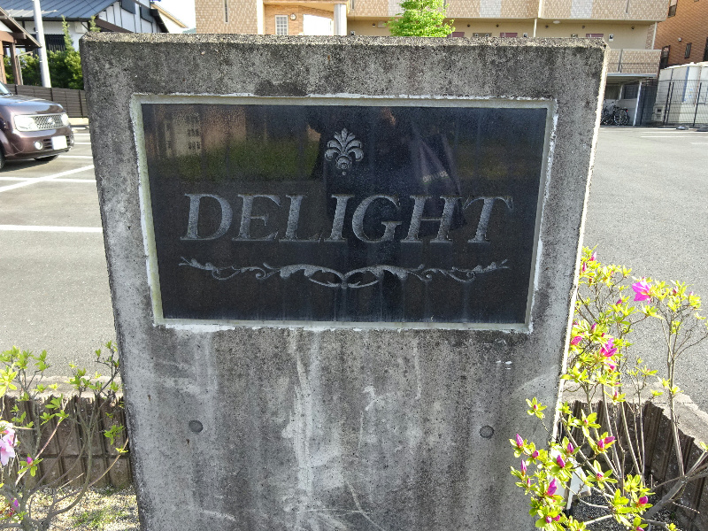 ＤＥＬＩＧＨＴ その他
