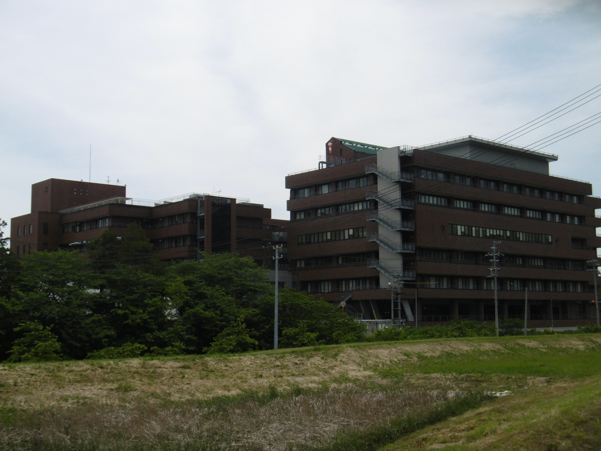 メテオール 総合病院